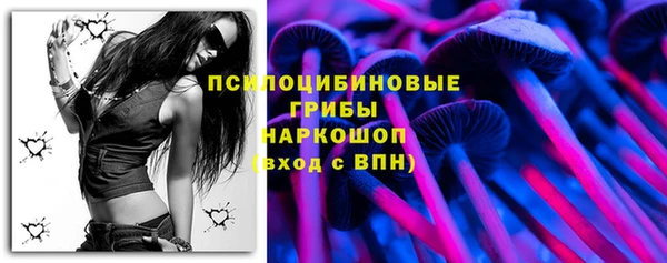 2c-b Горнозаводск