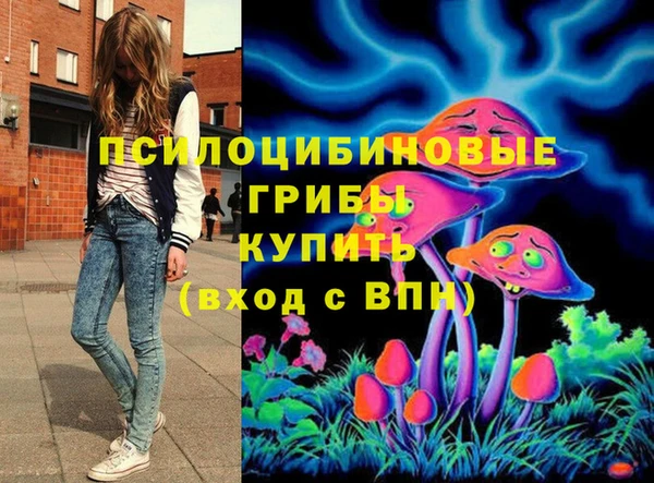 apvp Горно-Алтайск