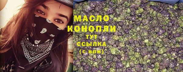 2c-b Горнозаводск
