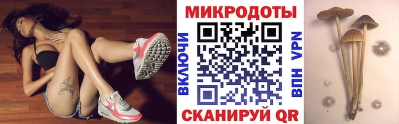 Псилоцибиновые грибы Psilocybine cubensis MEGA зеркало Меленки